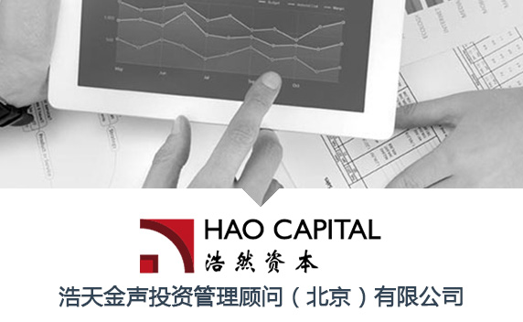 Hao Capital CRM案例分析