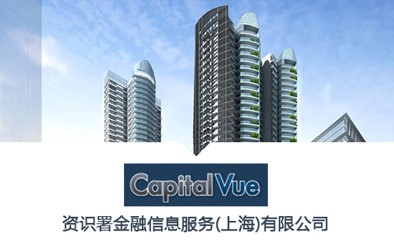 CapitalVue CRM解决方案